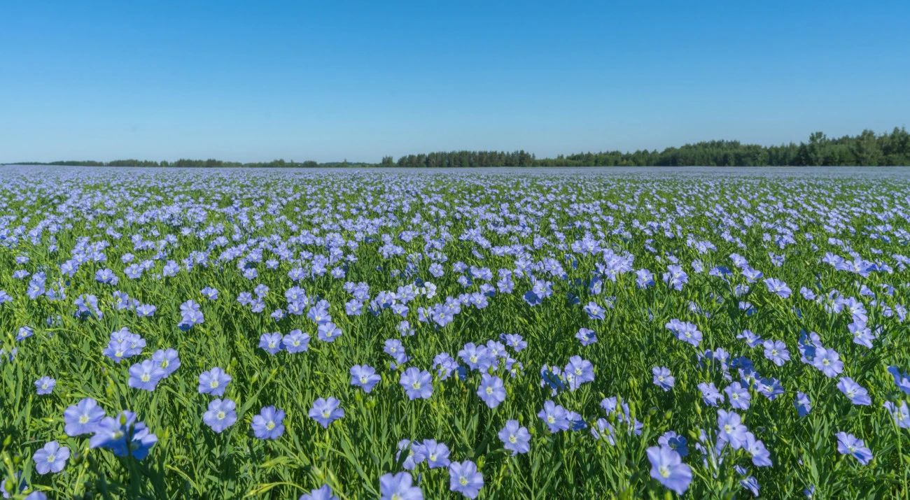 Les mardis du Lin Agriculture 