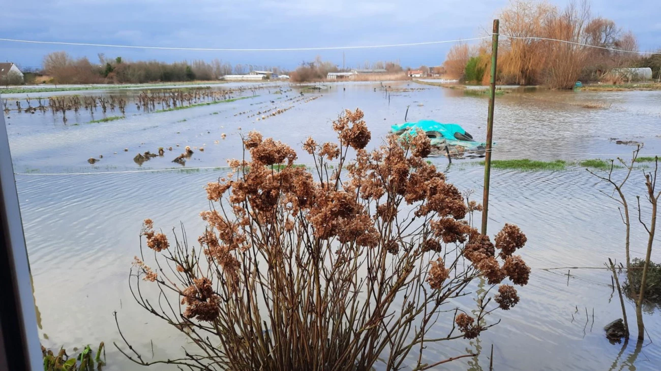 L'incurie du gouvernement à l'œuvre Environnement 