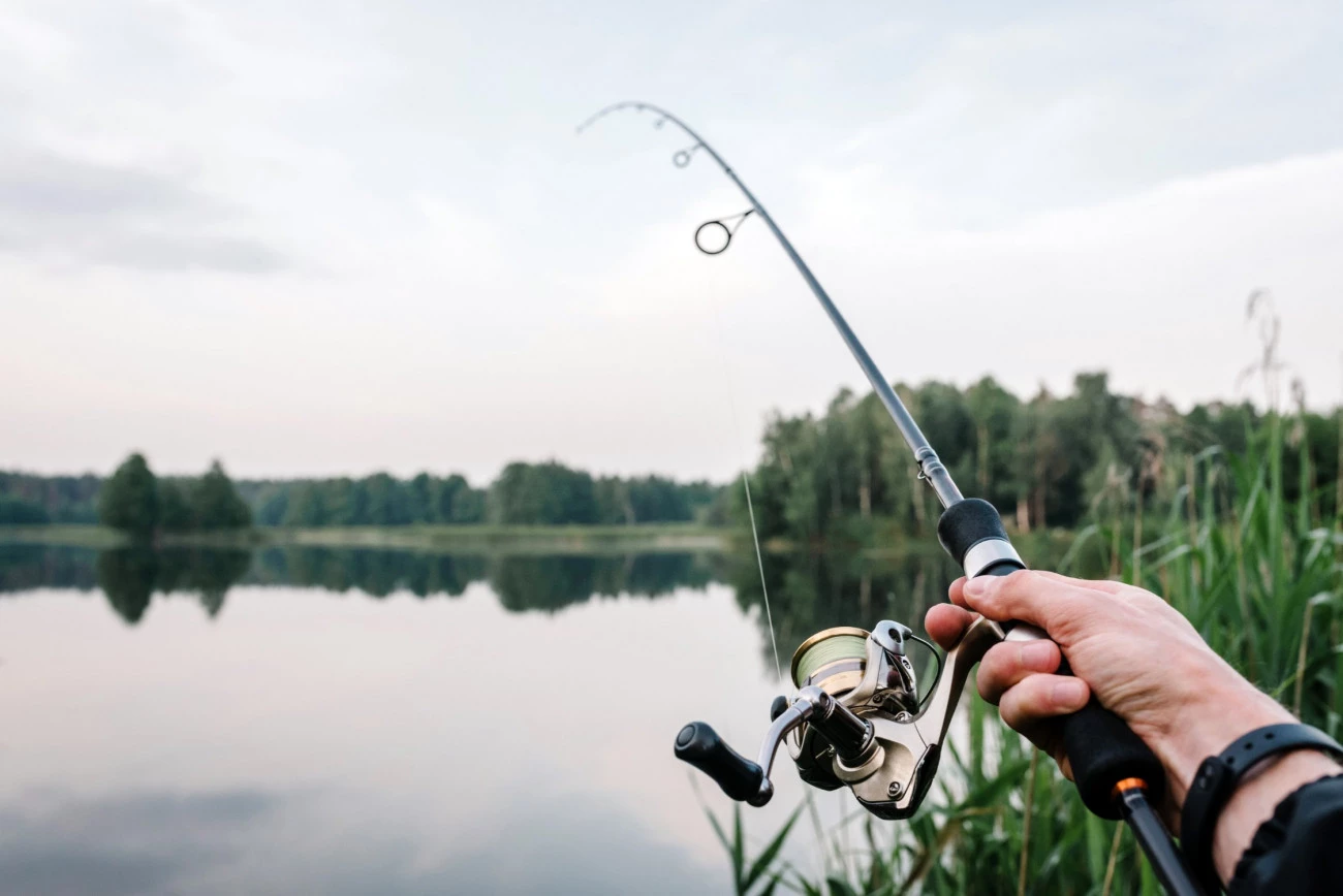 Cours d'eau et poissons pollués aux PCB