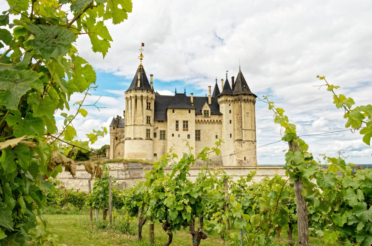 Le vin à la fête avec les Échappées de la Loire