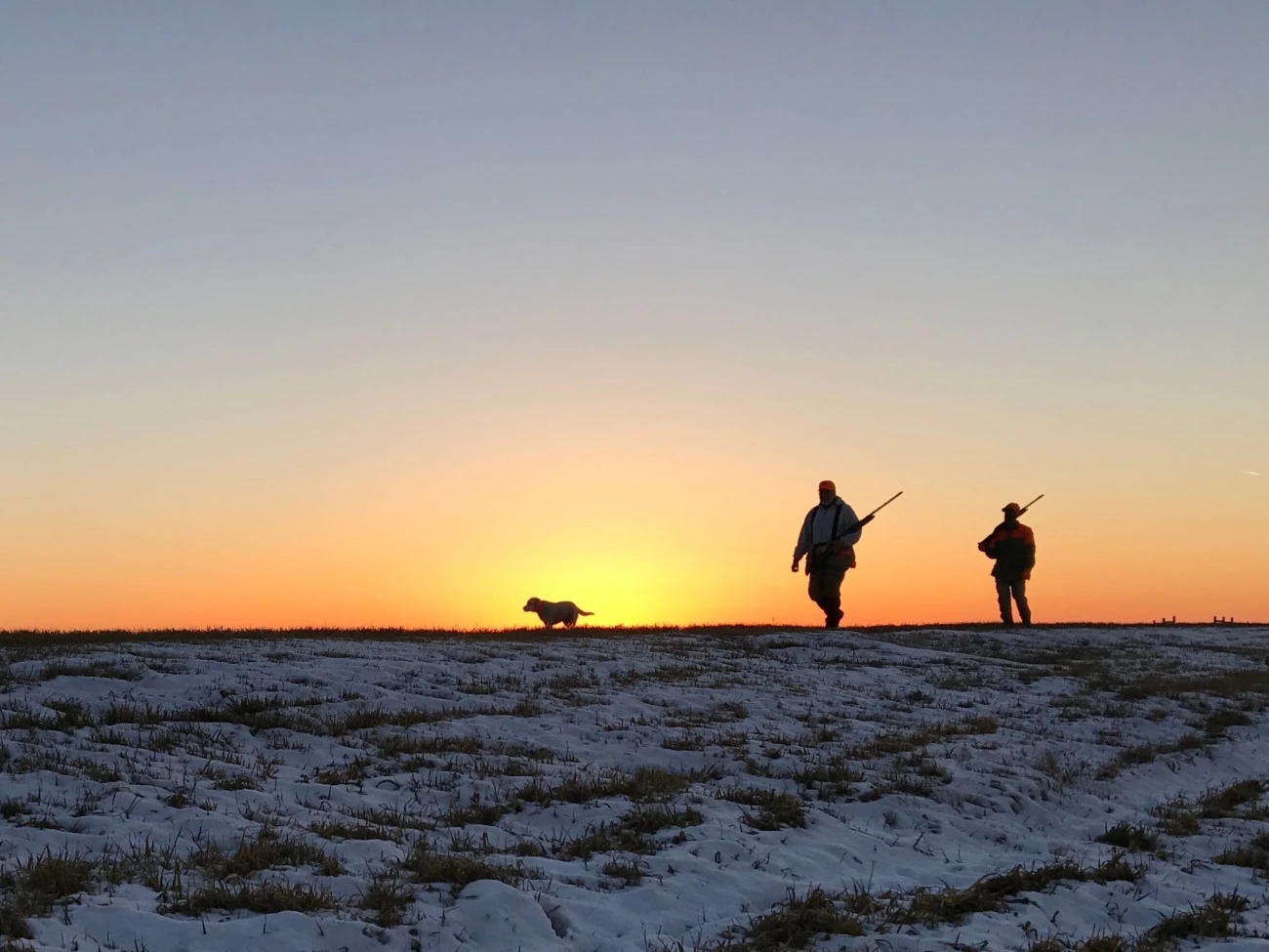 Faux débats pour que rien ne change Environnement Pêche Chasse 