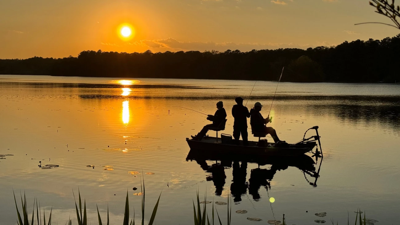 Poissons pollués, consommateurs en danger Environnement Pêche 