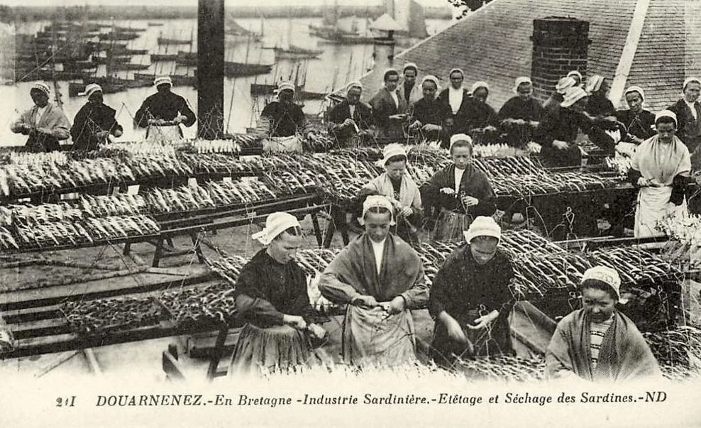 Les Sardinières de Douarnenez, un centenaire de lutte au féminin Luttes 