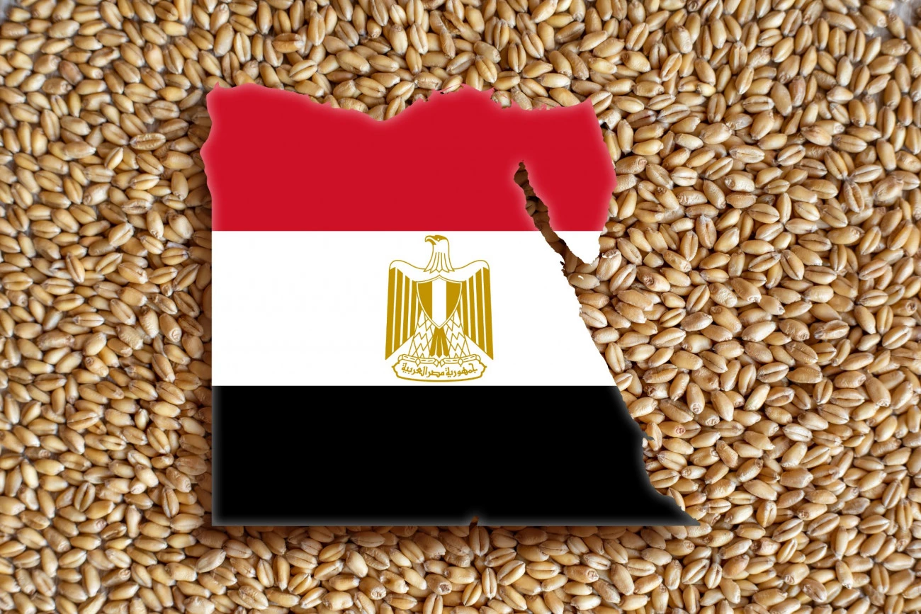 Égypte, l'obsession de la facture alimentaire Russie Agriculture BRICS Commerce 